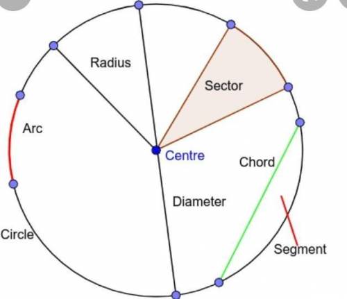 Draw any circle and mark (a) its centre
(b) a radius
(c) a diameter
(d) a sector