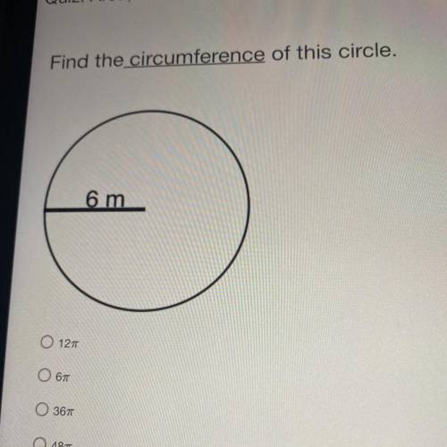 Find the circumference of this circle