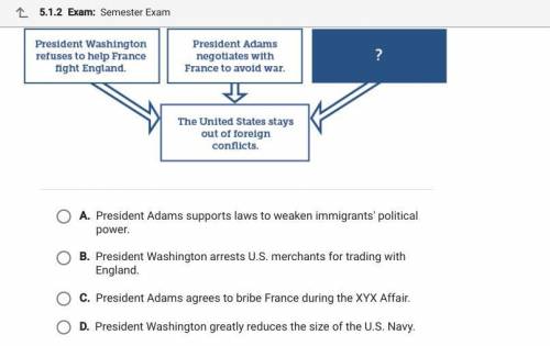 Which statement best completes the diagram?