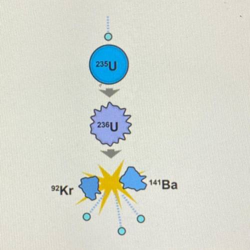 Which type of reaction does this diagram represent?

nuclear fusion because nuclei combine to form