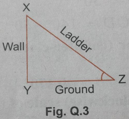 In fiq Q.3 measure the angle which the ladder makes with (I) the ground (2) the wall