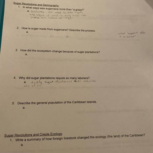 Hello! Can someone help me with my social studies homework? Thank you very much I appreciate it!! :