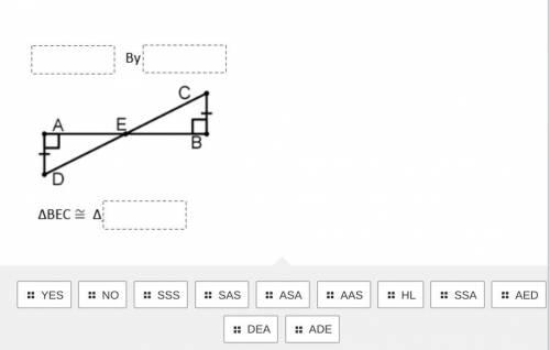 Solve the triangle congruence question with the word bank below. Photo attached