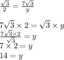 \frac{ \sqrt{3} }{2}   =  \frac{7 \sqrt{3} }{y}  \\  \\ 7 \sqrt{3}  \times 2 =  \sqrt{3}  \times y \\ \frac{7 \sqrt{3 }  \times 2}{ \sqrt{3} }  = y \\7 \times 2 = y \\ 14 = y