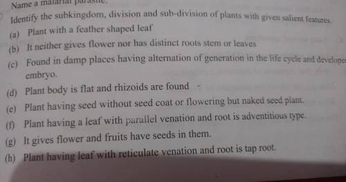 Identify the subkingdom, division and sub-division of plants with given salient features. (a) Plant