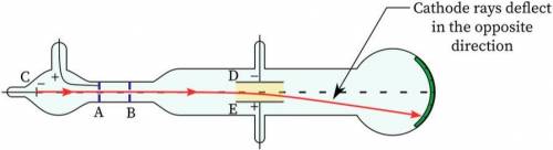 which experiment is this and , what is the name of the scientist and , what is the thing that showe