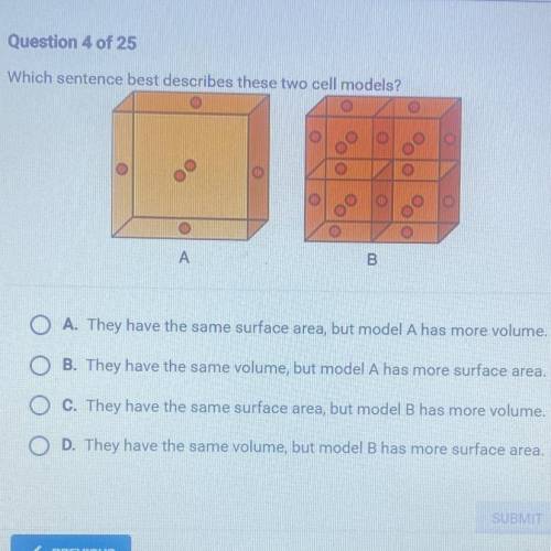 Which sentence best describes these two cell models

A. They have the same surface area, but model