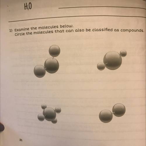 Examine the molecules
Circle the molecules that can also be classified as compounds.