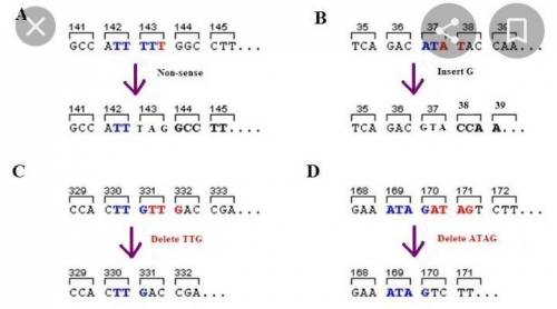 If a FRAMESHIFT mutation causes a stop codon to be inserted into the DNA sequence