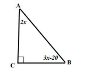 Please help!

Triangle ABC has angle measures as shown. Show work. Complete sentence. 
(a) What is