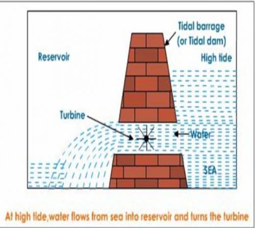 Use a labelled diagram to show how high tides (spring tides) occur.
