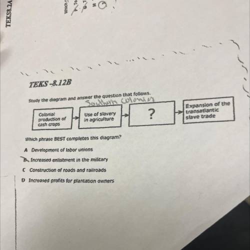 Which phrase best complete the diagram?