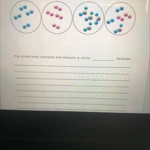Which circle contains the mixture? Is it D?