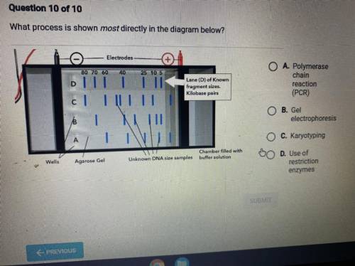 What procesa la shown most directly in the diagram below?