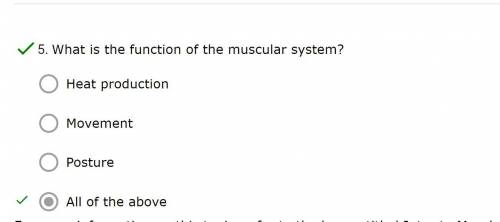 What is the function of the muscular system?