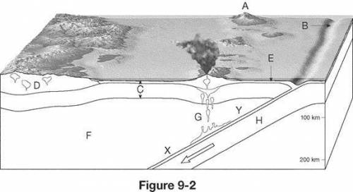 1. What type of plate boundary is illustrated in Figure 9-2?

A. Group of answer choices
B. diverg