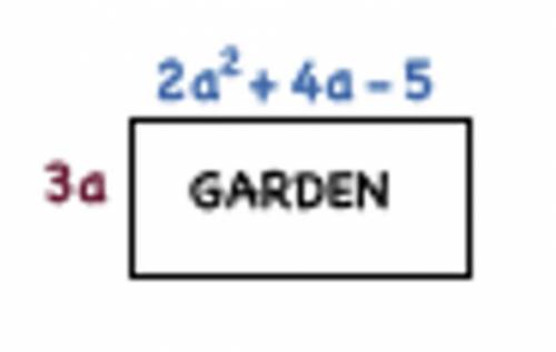 Find the area of the polynomial:

A.) 6a^3 + 12a^2 − 15a 
B.) 6a^3 + 12a − 15 
C.) 6a^2 + 12a − 15