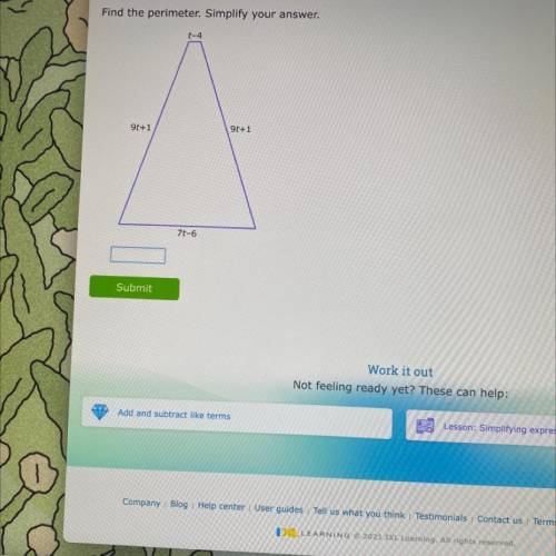 Find the perimeter. Simplify the answer.