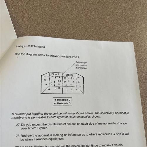 A student put together the experimental setup shown above. The selectively permeable membrane is pe