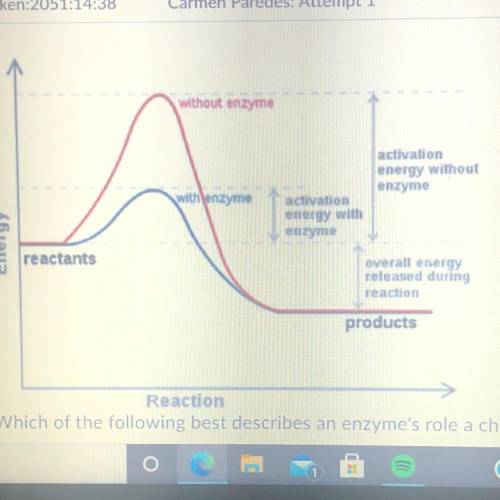 Reaction

Which of the following best describes an enzyme's role a chemical reaction?
a) Enzymes r