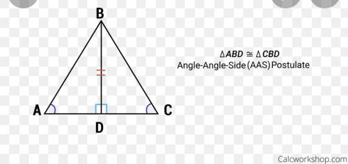 PLEASE HELP I REALLY NEED HELP!