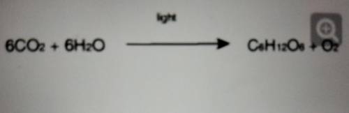 Hiii, I will give Brainliest!

 
The given equation represents a chemical reaction occurring in pla