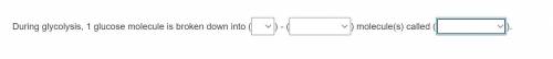 During glycolysis, 1 glucose molecule is broken down into

Answer options: A, 1, 2 or 3 B, 1-Carbo