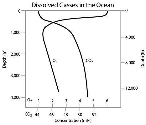 A chemist is studying dissolved gases in the ocean. She graphs her data as shown below.

Based on