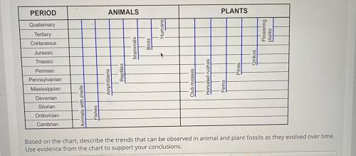 The Cambrian period occurred approximately 500 million years ago, and we are currently in the Quate