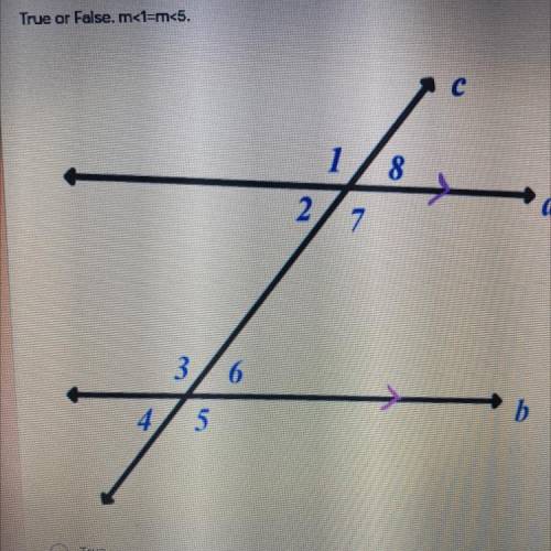 M<1=m<5 true or false