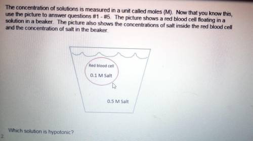 A. bothb. the insidec. neitherd. the beaker