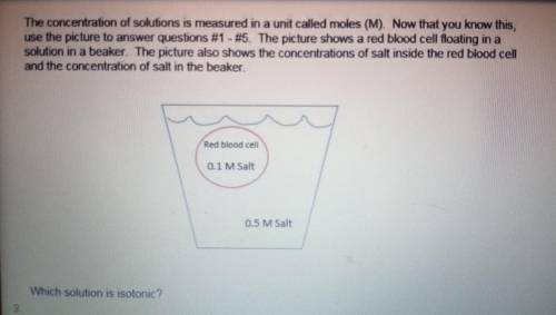 A. bothB. the beakerC. neitherD. the inside of the cell