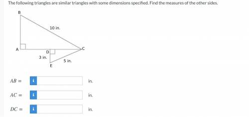The following triangles are similar triangles with some dimensions specified. Find the measures of