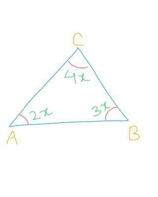 The angles of a triangle are in the ratio 2 : 3 : 4 . find the angles of the triangle .

don't giv