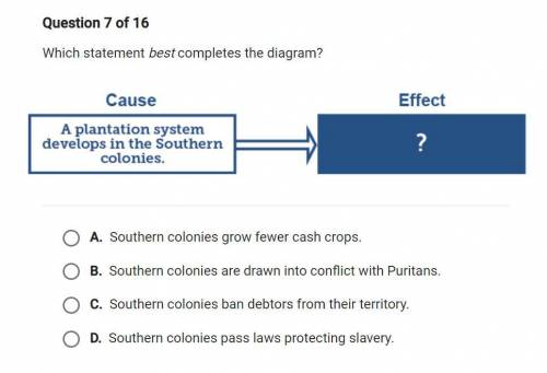 Which statement best completes the diagram?