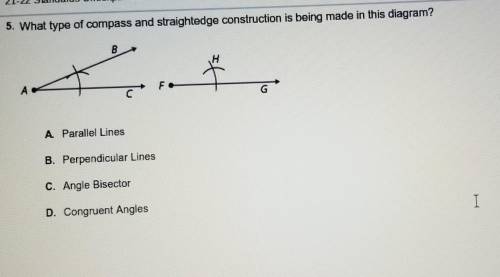 Help please and thank you!!