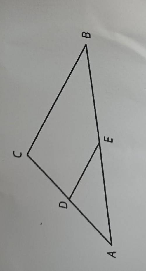 Lin drew a triangle and dilation of the triangle with scale factor

a. What is the center of the d