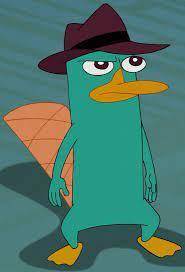 What kind of plumber are you. A platypus plumber Perry the platypus plumber a platypus. ( what come