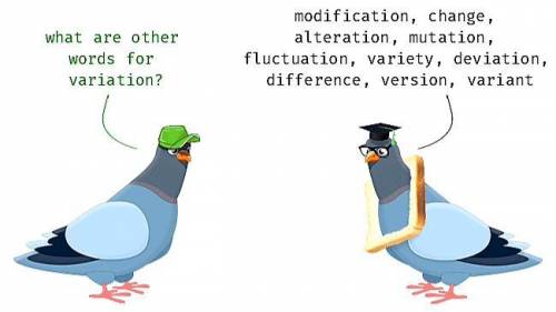 Which word is a synonym for the word variation