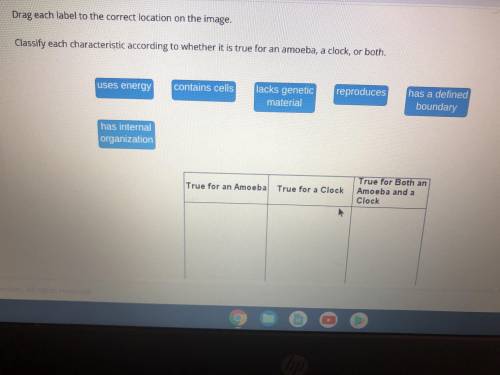 Classify each characteristic according to whether it is true for amoeba A Clock or both