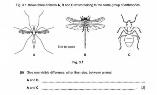 Living things.... 4 questions