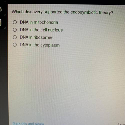 Which discovery supported the endosymbiotic theory?