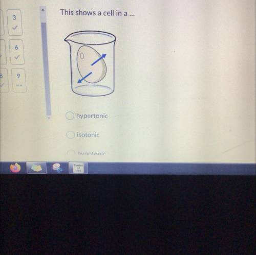 This shows a cell in a 
A hypertonic
B isotonic
C hypotonic