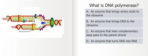 Multiple choice please help