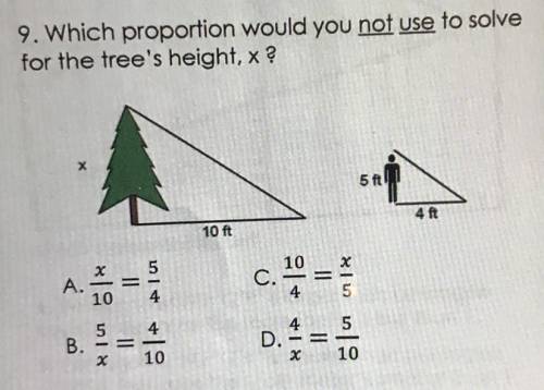 Which proportion would you NOT use to solve for the tree’s height, x ?