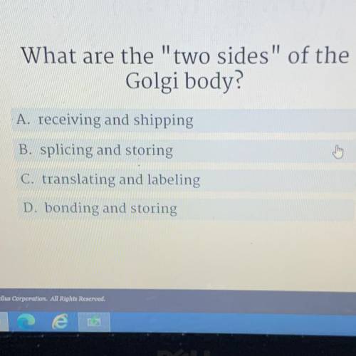 What are the two sides of the

Golgi body?
A. receiving and shipping
B. splicing and storing
c.