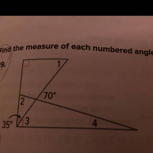 Find the measure of each mine red angle.