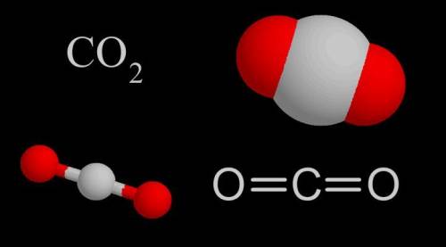 Need the answer right now

carbon dioxide or carbon monoxide is a compound whose molecules consist