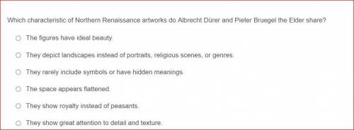 Which characteristic of Northern Renaissance artworks do Albrecht Dürer and Pieter Bruegel the Elde