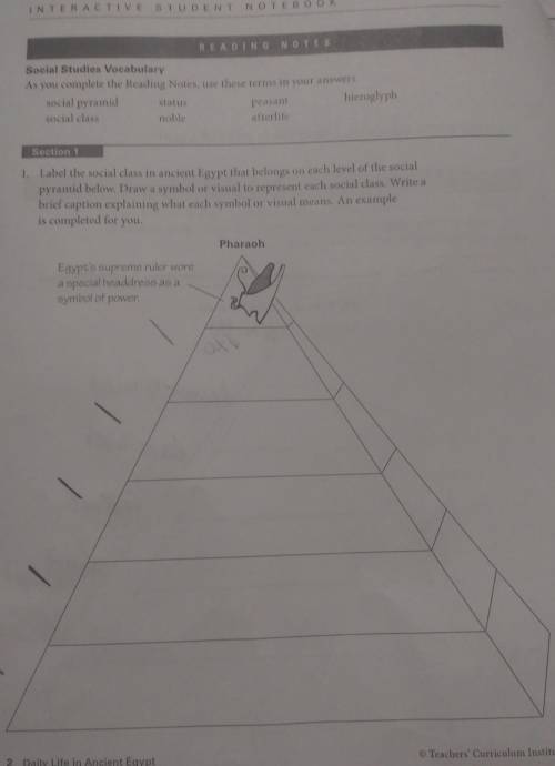 I need to know each level of the social pyramid the answers are at the top just help me pleaee